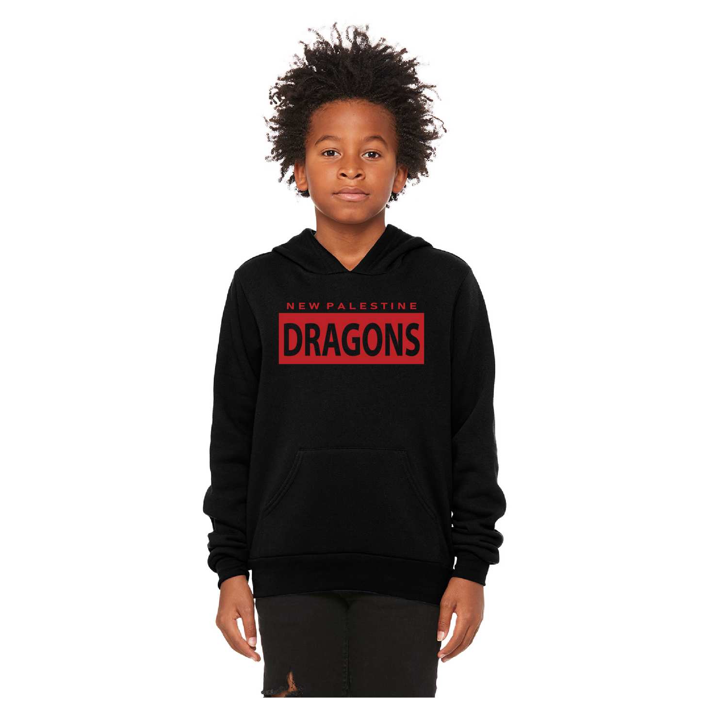 Youth Unisex Sponge Fleece Hoodie - Dragons Boxed