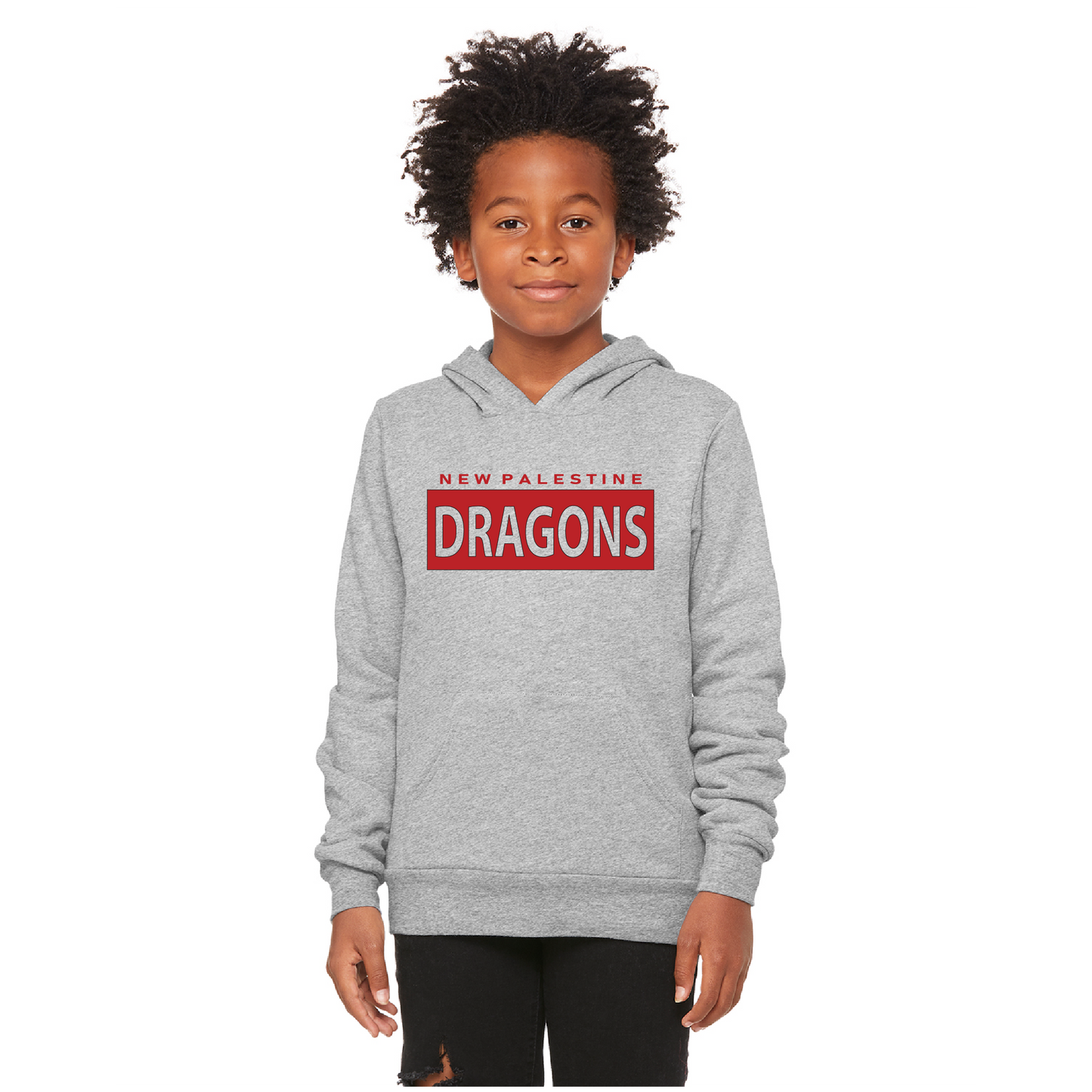 Youth Unisex Sponge Fleece Hoodie - Dragons Boxed