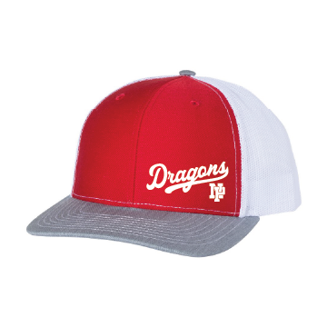 Classic Snapback - Dragons NP