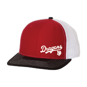 Classic Snapback - Dragons NP