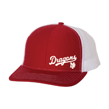 Classic Snapback - Dragons NP
