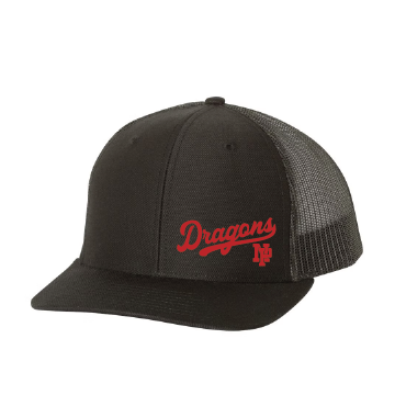 Classic Snapback - Dragons NP