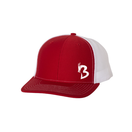 Classic Snapback - Indiana Outline w/NP Logo (white)
