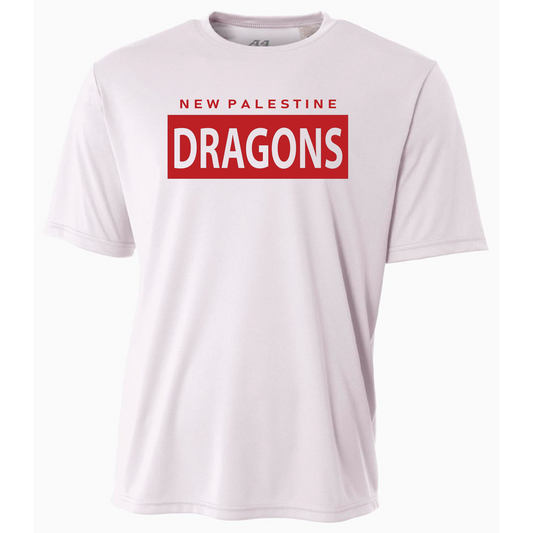 Mens S/S T-Shirt - Dragons Boxed